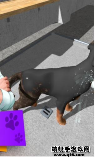 动物收容所中文版手游(Animal Shelter Simulator) 1.00安卓版截图1