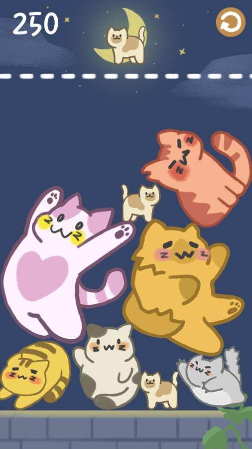 Merge Cat(合并小猫咪手游) 1.0.1最新版截图1