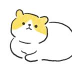 奇怪的猫 1.0.12最新版