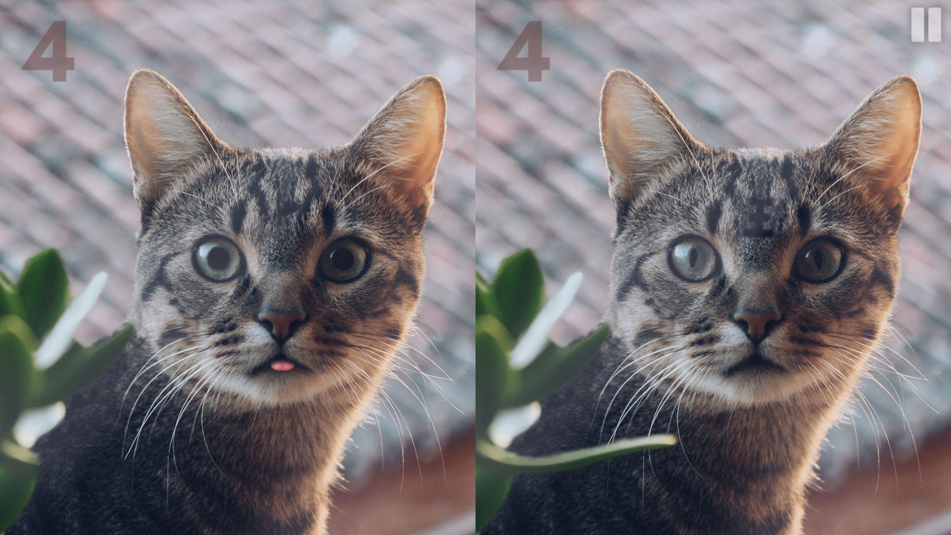 慧眼寻异破解版 0.2中文版截图3