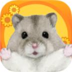仓鼠谷 1.0.10最新版