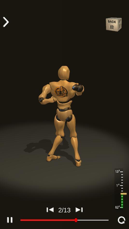 人偶咏春师傅破解版 153最新版截图4