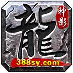神影英雄传手游 1.1.0安卓版
