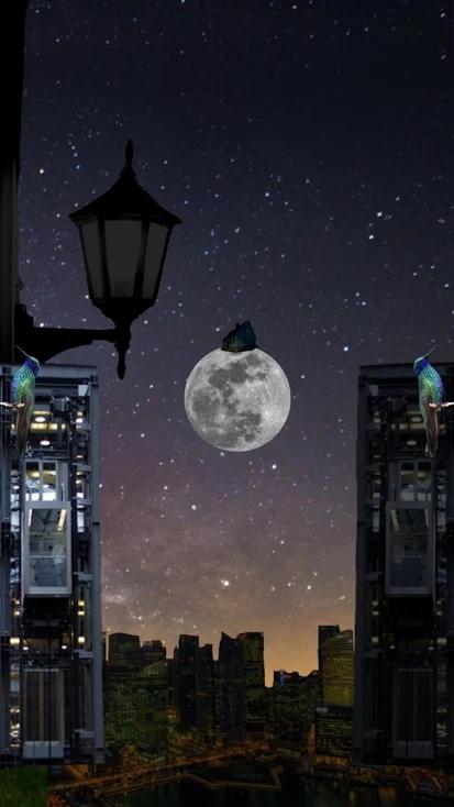 无梦房间破解版 1.0.1免广告版截图1