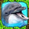 Dolphin Sim(海豚模拟器破解版) 1.0无限血量版