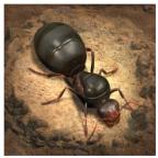 小小蚁国台服最新版 3.39.0中文版