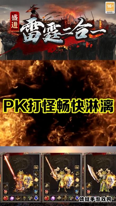 盛进雷霆二合一游戏 1.1.0安卓版截图2