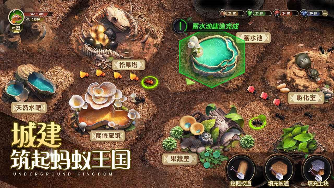 小小蚁国蚁族时代手游 1.31.2安卓版截图4