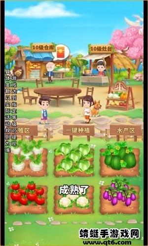 回归田园生活小游戏 1.0.2安卓版截图1