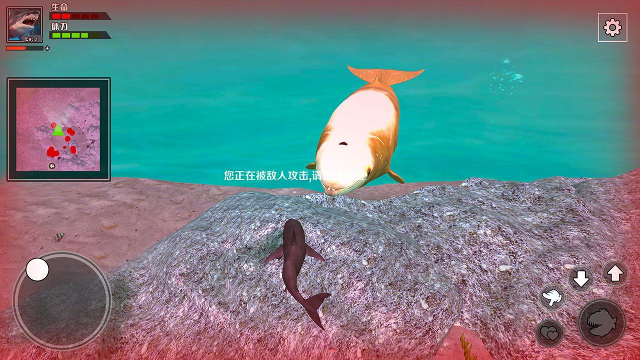 饥饿鲨鱼求生手游 1.0.0安卓版截图3