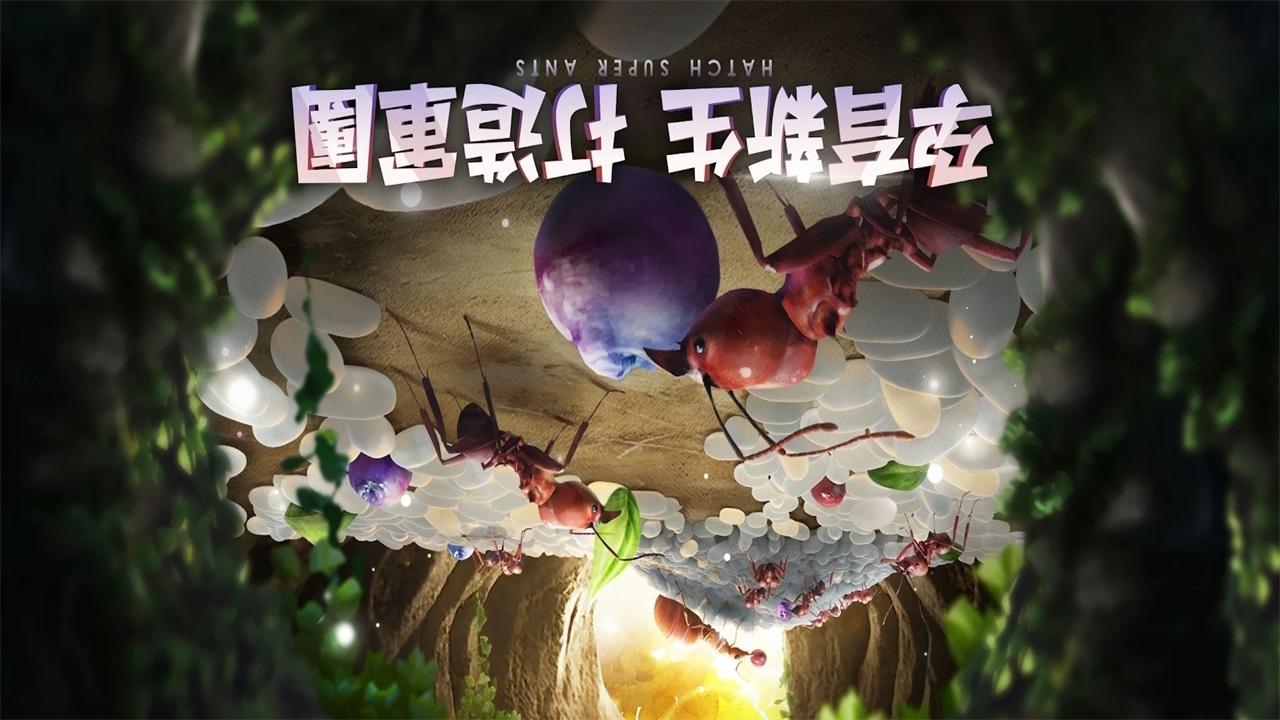 小小蚁国台服最新版 3.39.0中文版截图2