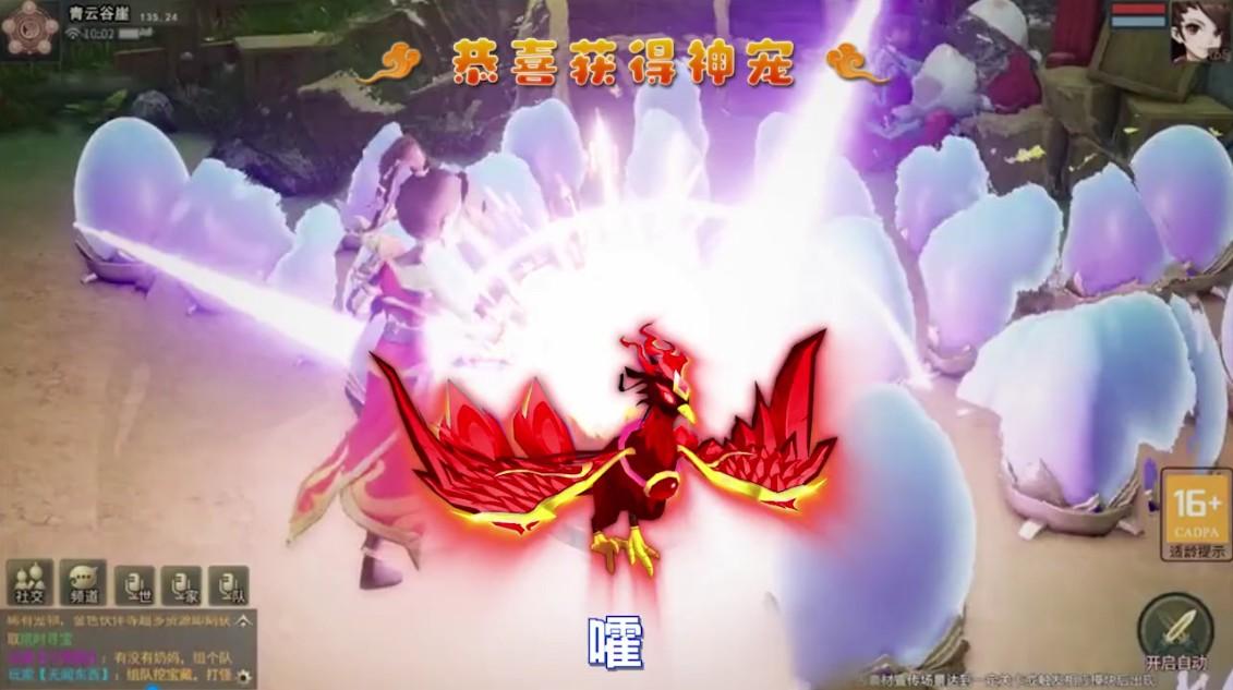 万灵仙引 1.0.2安卓版截图1