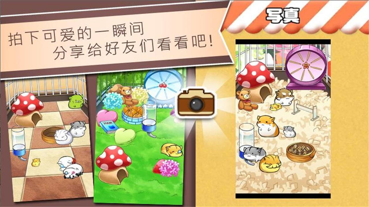 仓鼠的日常最新版(Hamster Life) 4.7.7安卓版截图2