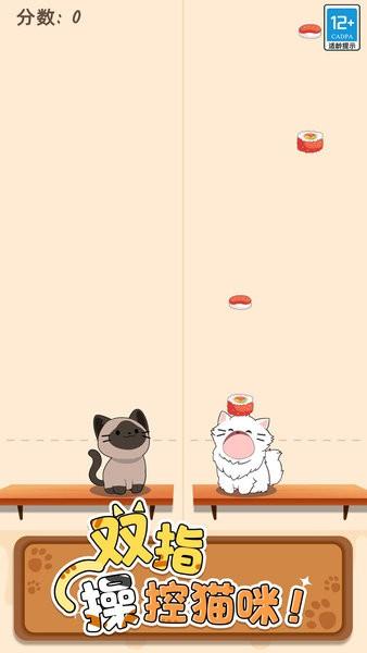 猫咪二重奏正版 v1.0.4 安卓版