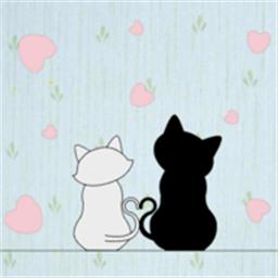 猫猫躲猫猫游戏