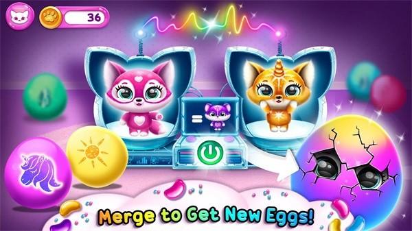 菲露茜斯宠物猫手机版(超有爱的小毛球) v1.0.761 安卓版
