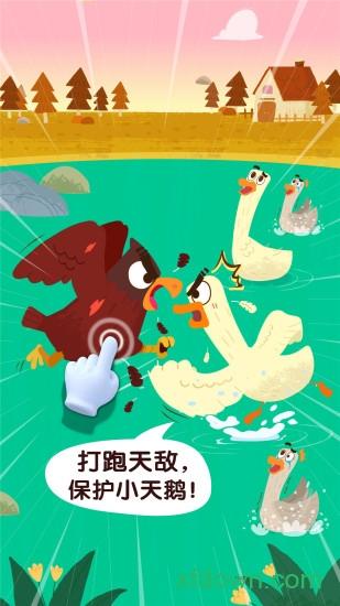 宝宝鸟类认知 v9.77.00.00 安卓版