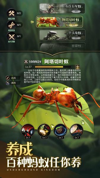 小小蚁国37版下载