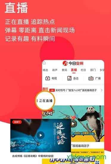 今日安州app下载