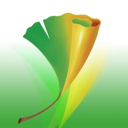 中国青年手机版