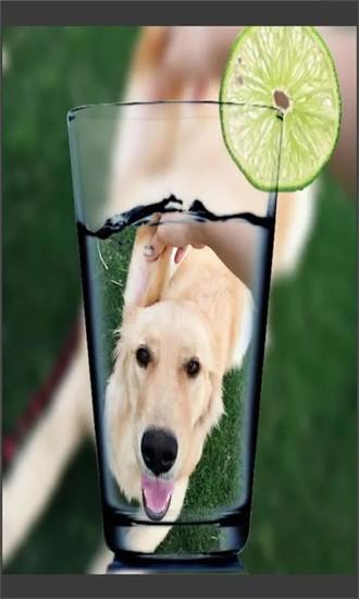 趣拍玩图照相机app下载