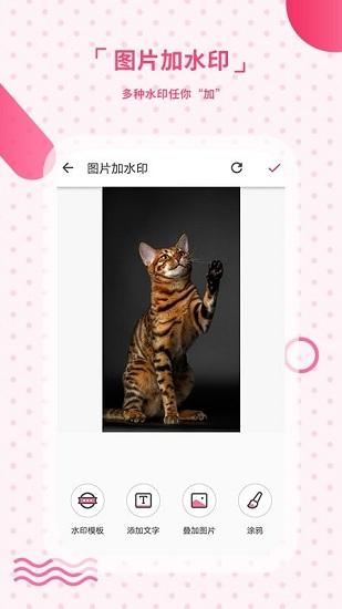 去水印相机最新版