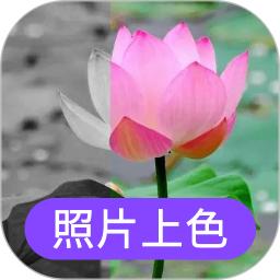 照片上色软件