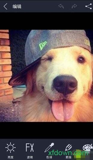 光影魔术手2017 光影魔术手2017手机软件