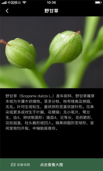积学草手机版 积学草app下载