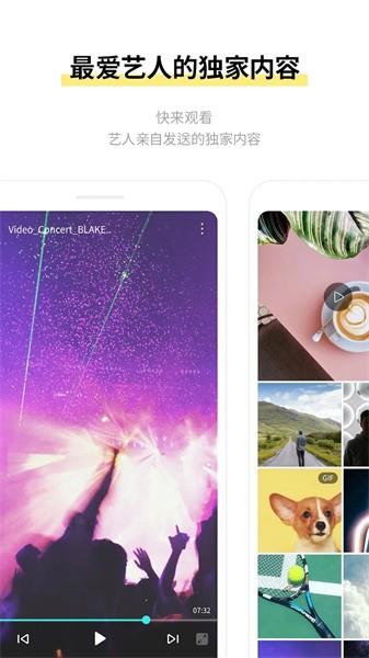 STARSHIP bubble STARSHIP bubble软件