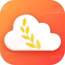 麦穗天气预报平台