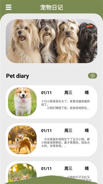 幸福猫咪社 幸福猫咪社app