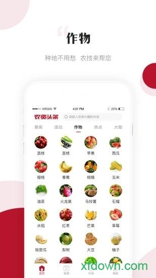 农资头条app下载