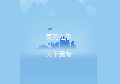 葵花驾考2024最新版