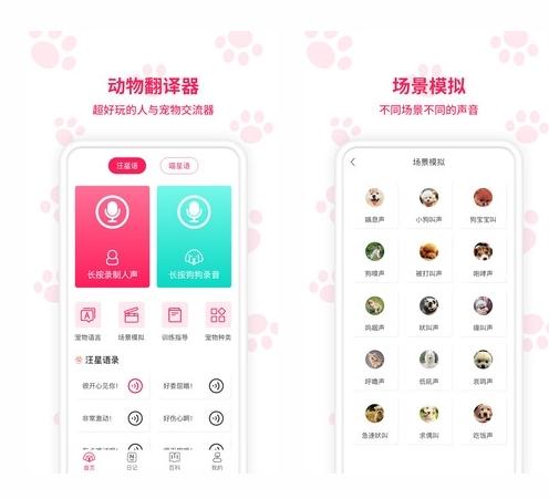 宠物翻译器