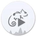 Stellio Player Pro直装已付费高级版 安卓专业版v6.9.4