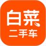 白菜二手车app