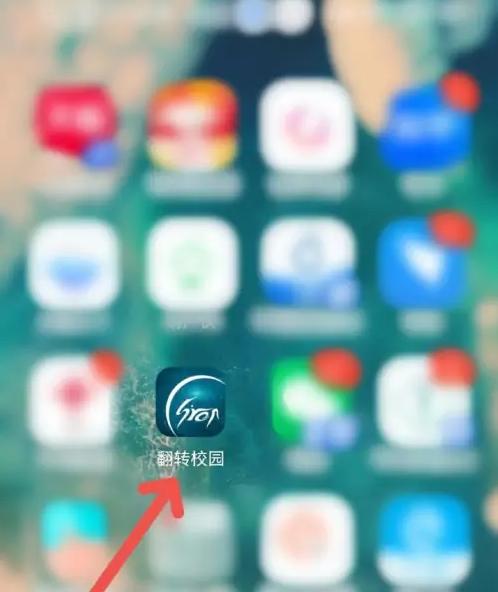 翻转校园8