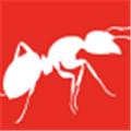 红火蚁云采集系统app 最新版v2.14.05