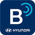 bluelink 安卓最新版v4.06