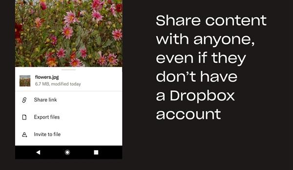 Dropbox图片3