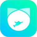 抓鱼猫 安卓版v3.4.0