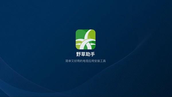 野草助手软件TV版 v1.0.4 v1.0.4