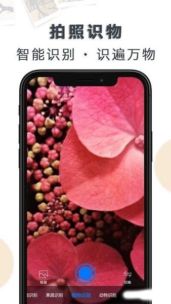 豆拍拍照识物2