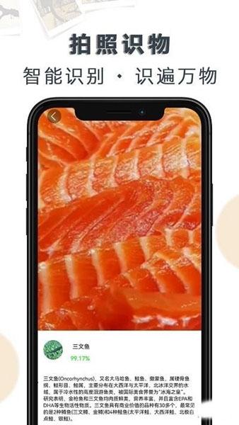 豆拍拍照识物1