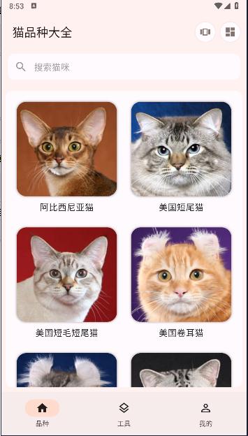 猫品种大全软件下载安装最新 猫品种大全软件下载安装最新