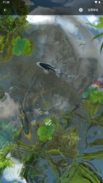 鱼池动态壁纸app