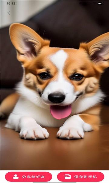 动态diy壁纸软件免费版 动态diy壁纸软件免费版