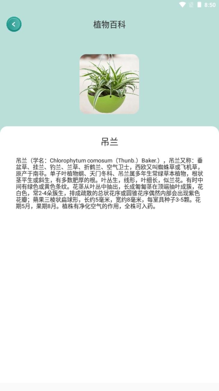 AI随拍app最新版2024