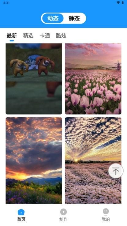 企鹅壁纸可爱ins风app